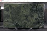 Camouflage Green N° 106-45 - 2 cm poli.JPG
